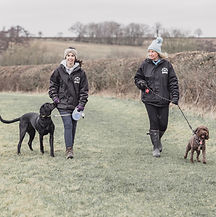 Emilys Canine Crew - Feb 24-35_edited.jpg