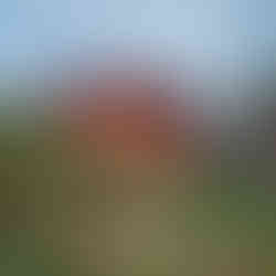 Qué hacer en Versalles: planes en el Valle del Cauca - V42 Los Danis