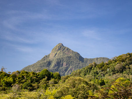 Pico de Loro - Cali También es Loma