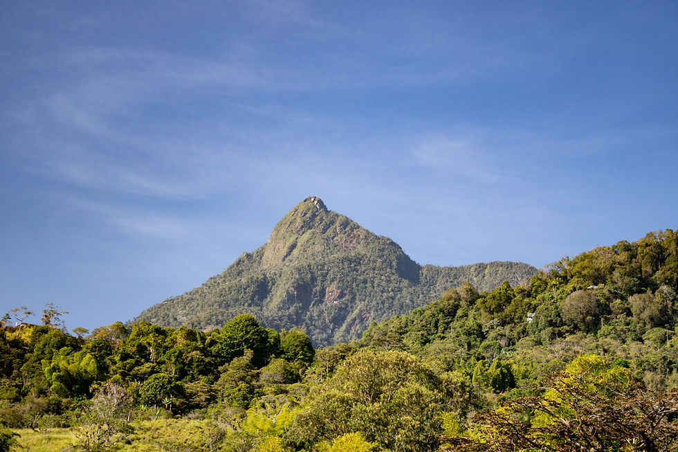 Pico de Loro - Cali También es Loma