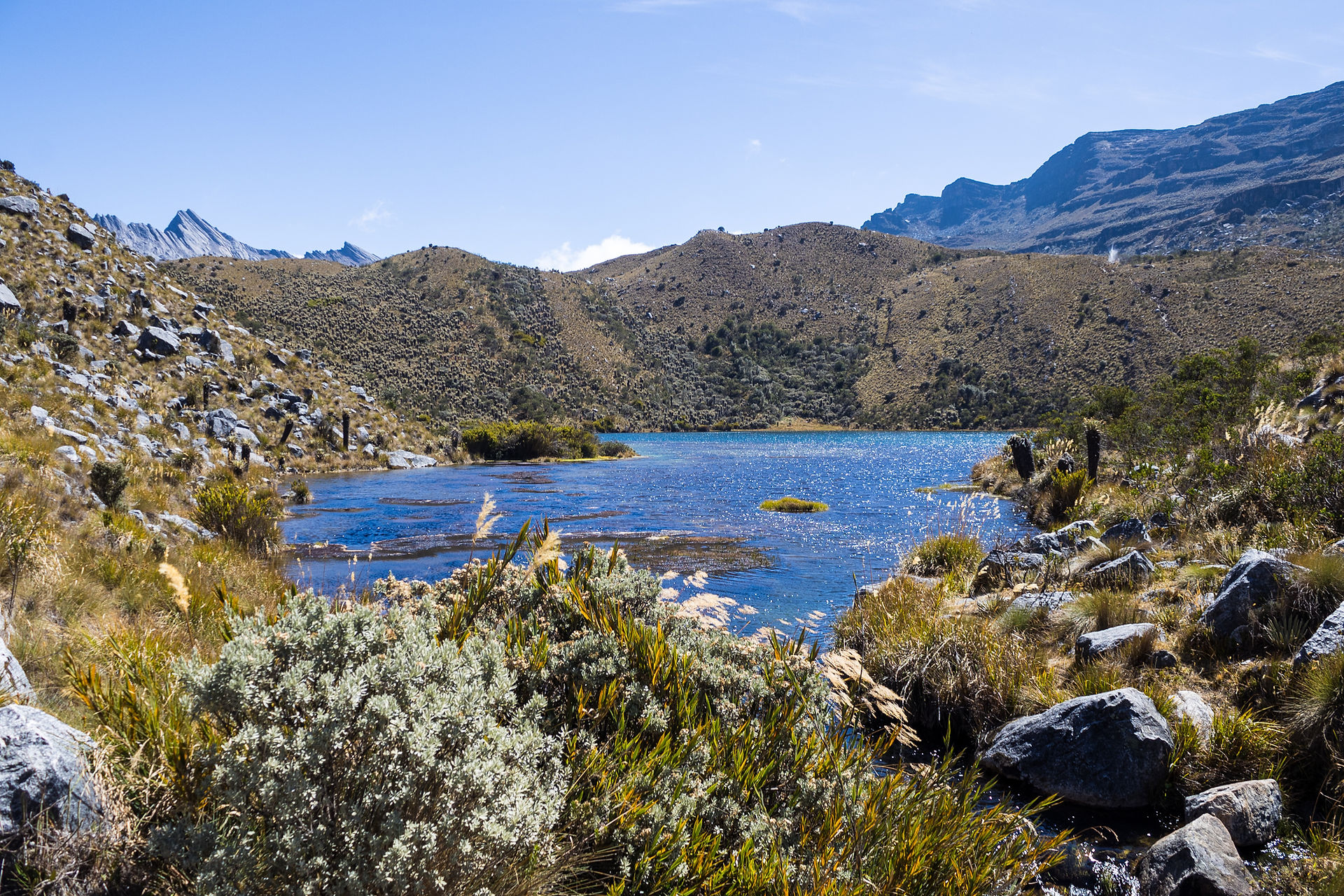 Laguna Pintada PNN Cocuy