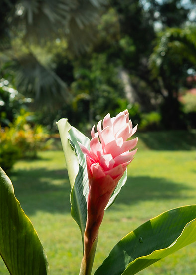 Hotel Campestre El Fuerte de Rozo