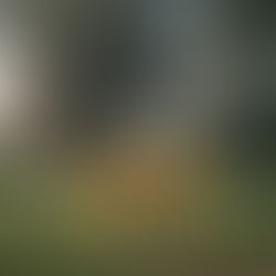 Dónde acampar en Cali o cerca? lugares en el valle del cauca recomendados por Los Danis