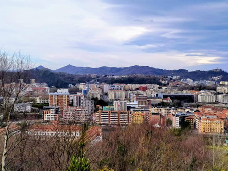 An aerial view of the neighbourhood of Amara in San Sebastian: The Ultimate Guide to Living in Amara, San Sebastián