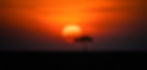 Massai mara sunset_edited.jpg