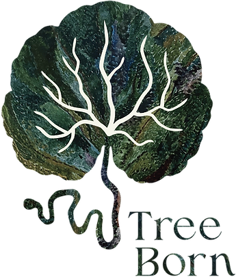 TreeBorn_Logo-10.png