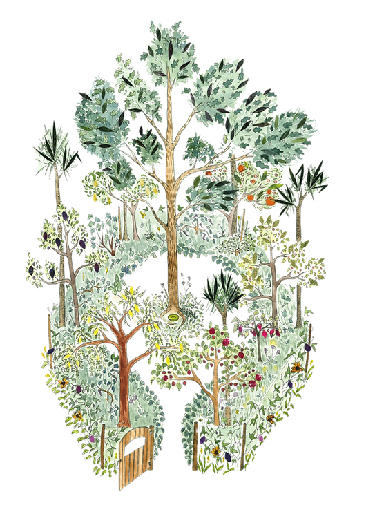 treeborn frida keegan