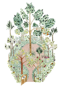 Tree Born Forest