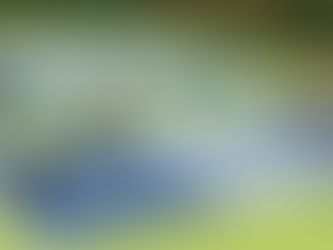 FORMACIÓN - 'Pickleball: iniciación y aplicación didáctica'