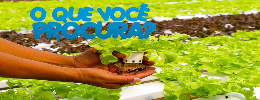OQueVocêProcura.png