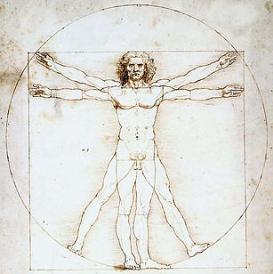 vitruvian man drawing
