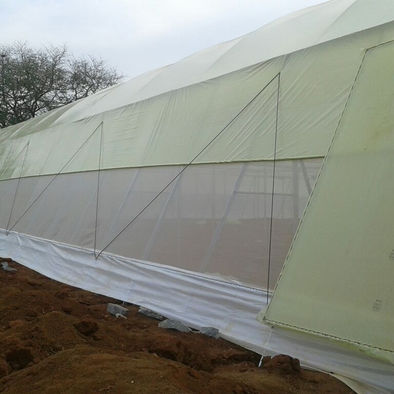 greenhouse film.jfif