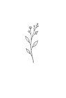 leaf.png