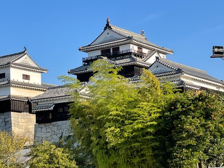 盛夏の鍛錬 II