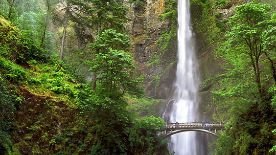 oregon pic.jpeg