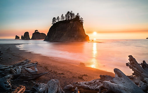 oregon pic 3.jpeg