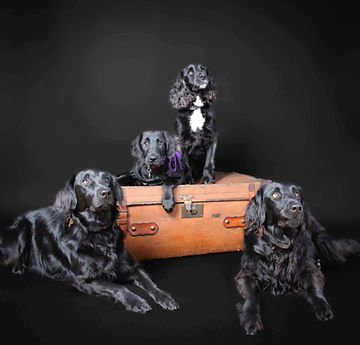 small fies for internet use (11 of 14)_e