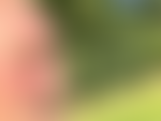 🎥 "No fertiliser. Just seaweed – and look at the regrowth."