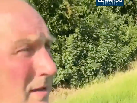 🎥 "No fertiliser. Just seaweed – and look at the regrowth."