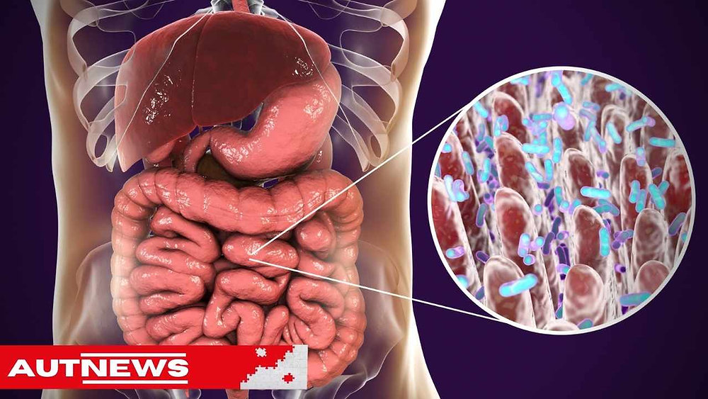 O QUE VOCÊ COME E NÃO DIGERE CONTRIBUI PARA DOENÇAS NEUROINFLAMATÓRIAS