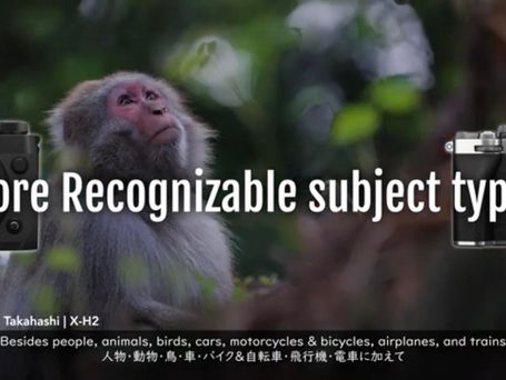 プロモーション作例の紹介