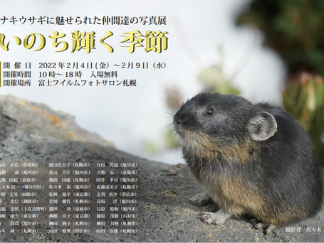 合同展のお知らせ