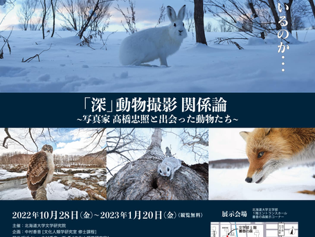 ✨写真展の告知✨