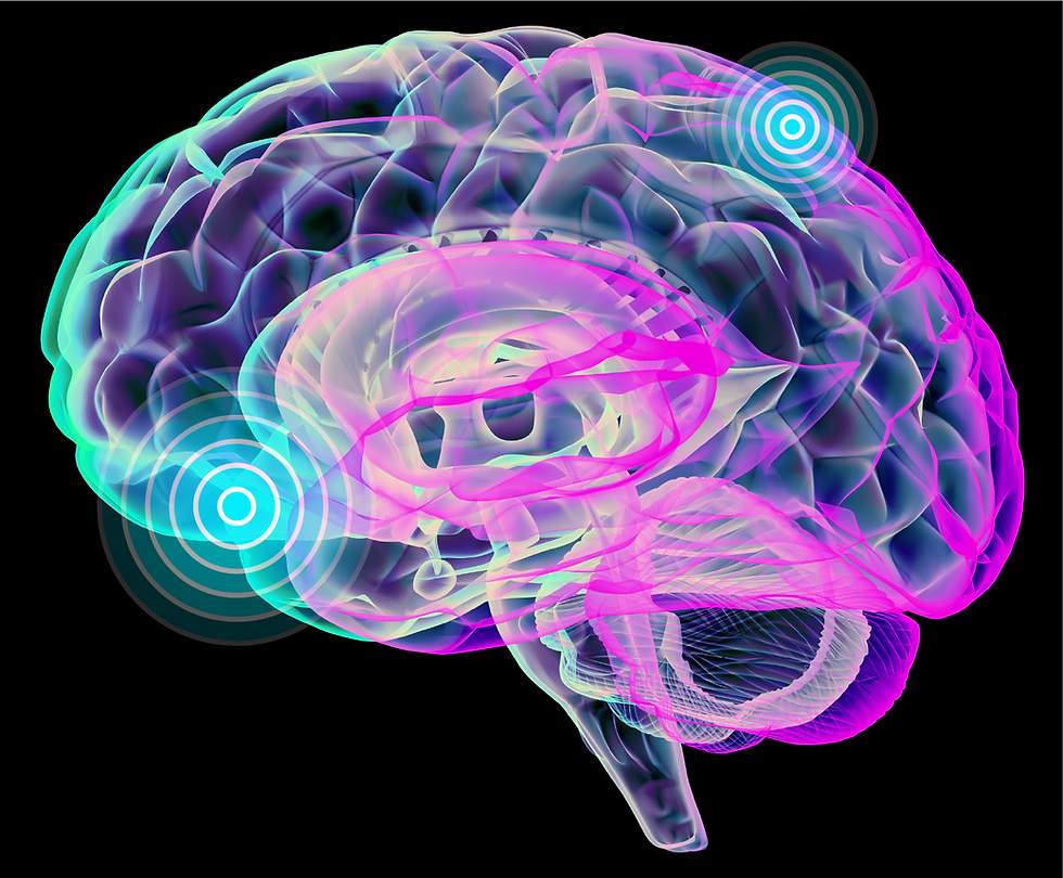 img-solution-brain.png