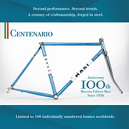 100th frame | MASI-BICYCLES