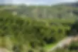 Masi-Rando-Vince-small-02.webp