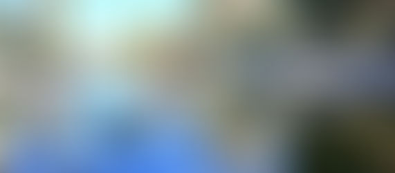 Reactiva XXV Ayuntamiento de Tijuana accesos limitados en Parque Morelos