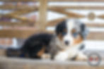 Rayne060226-8022