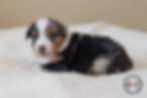 Rayne04-26-1027