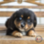 Rayne060226-8001