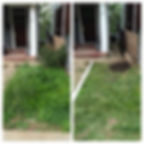 Re-Seed