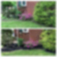 Weed and Mulch