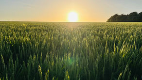 Annual Parish Meeting 2026