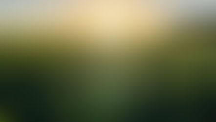 Annual Parish Meeting 2026