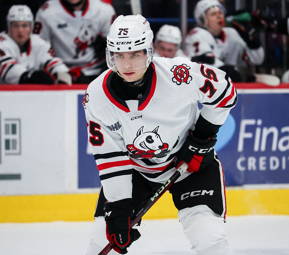 Natalie Shaver/OHL Images