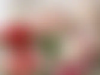 9 mejores flores para regalar aniversario
