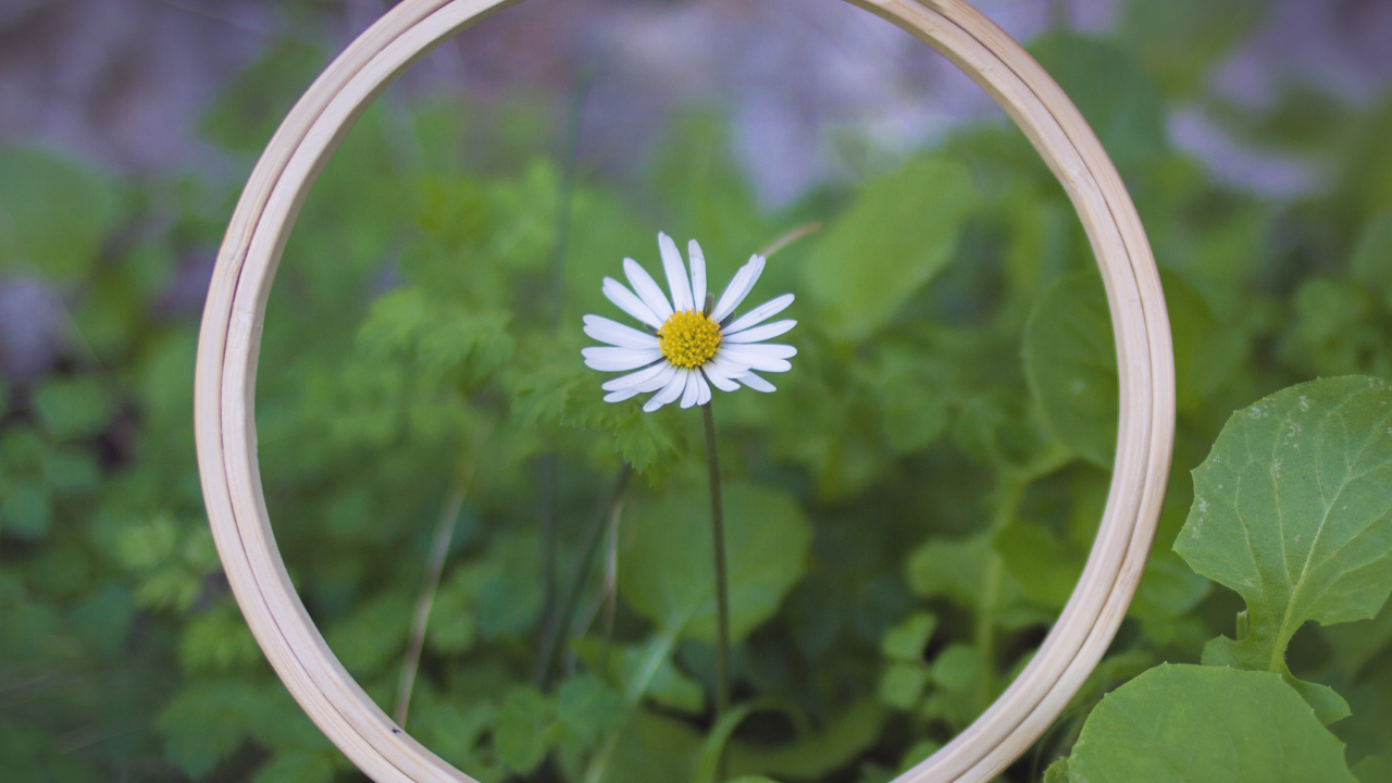 Be focused for beautiful rewards. find tips and techniques to do that.d