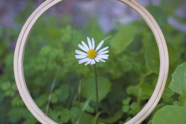 Perform better with increased Focus and Concentration
