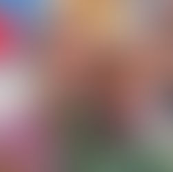 Brooke's Mission Trip Experience