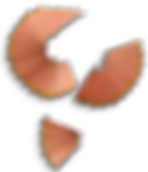 Pencil Shavings Photo