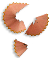 Pencil Shavings Photo