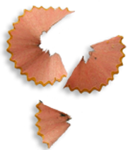 Pencil Shavings Photo