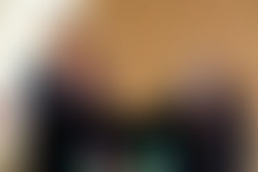 Daniel Bertolino, Chevalier de l'Ordre des Arts et lettres de la République française