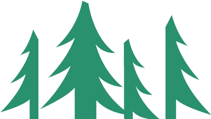 TreesLines_edited_edited.png