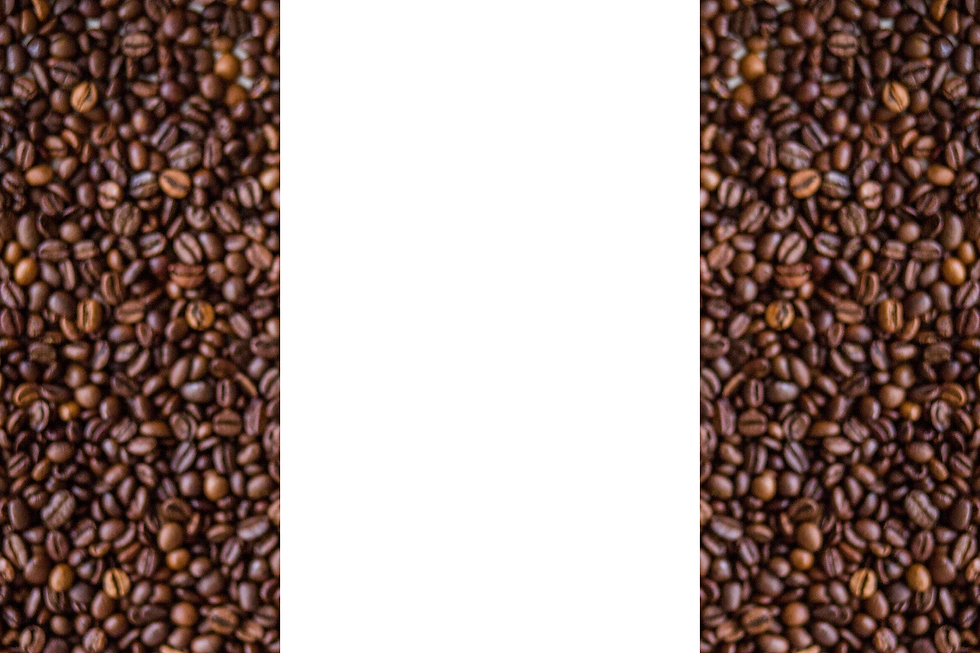 beanbackground.png