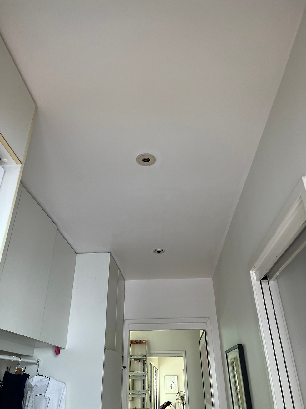 Solving a Mouldy Ceiling Problem With A Fresh Solution